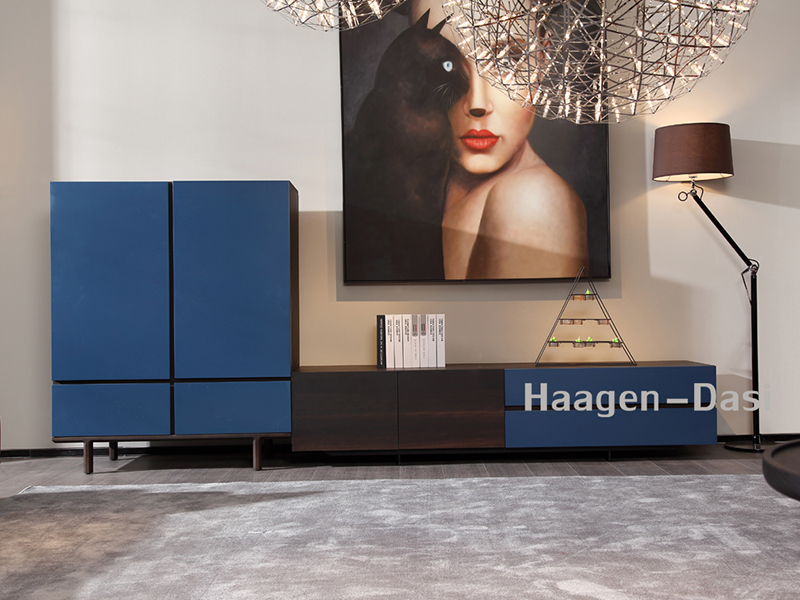 【哈根达私·欧尚格家居】意式现代极简客厅北美白蜡木实木蓝色时尚电视机柜组合
